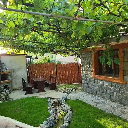 111 펜션 사파레바바냐