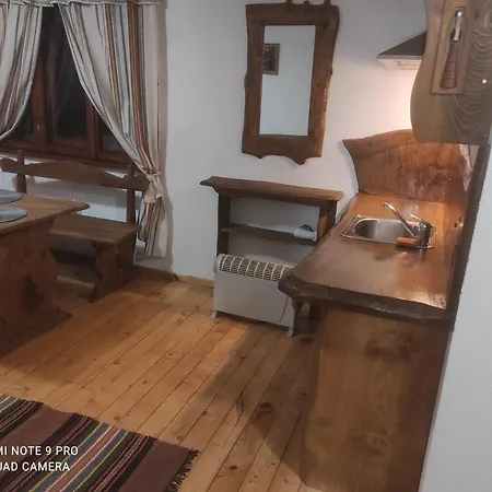 111 * 사파레바바냐