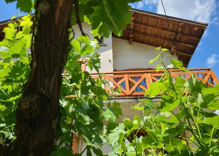 Prázdninový dům 111 Sapareva Banja